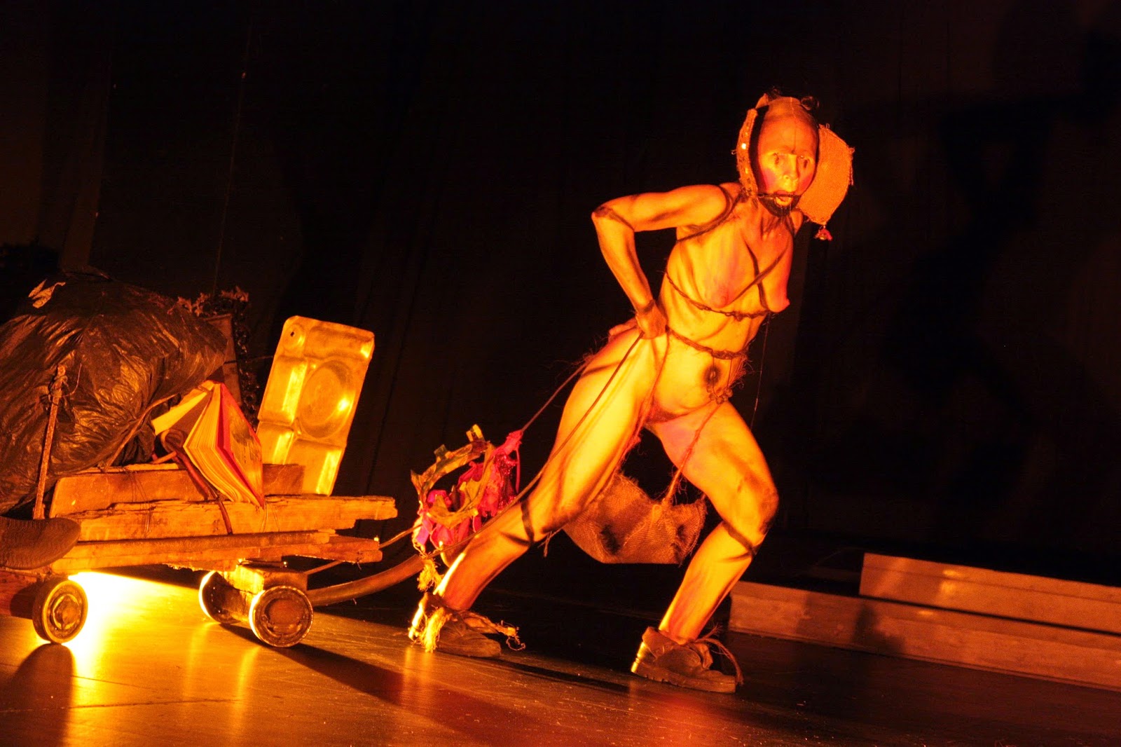 Rapsodia para el mulo