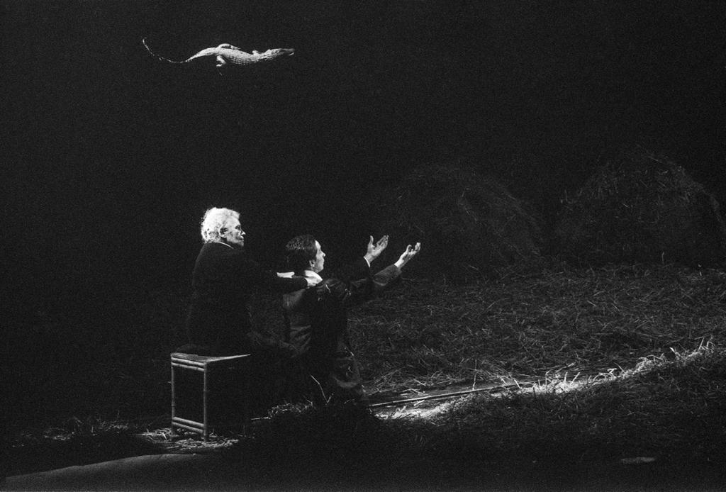 Desde la huerta de los mudos