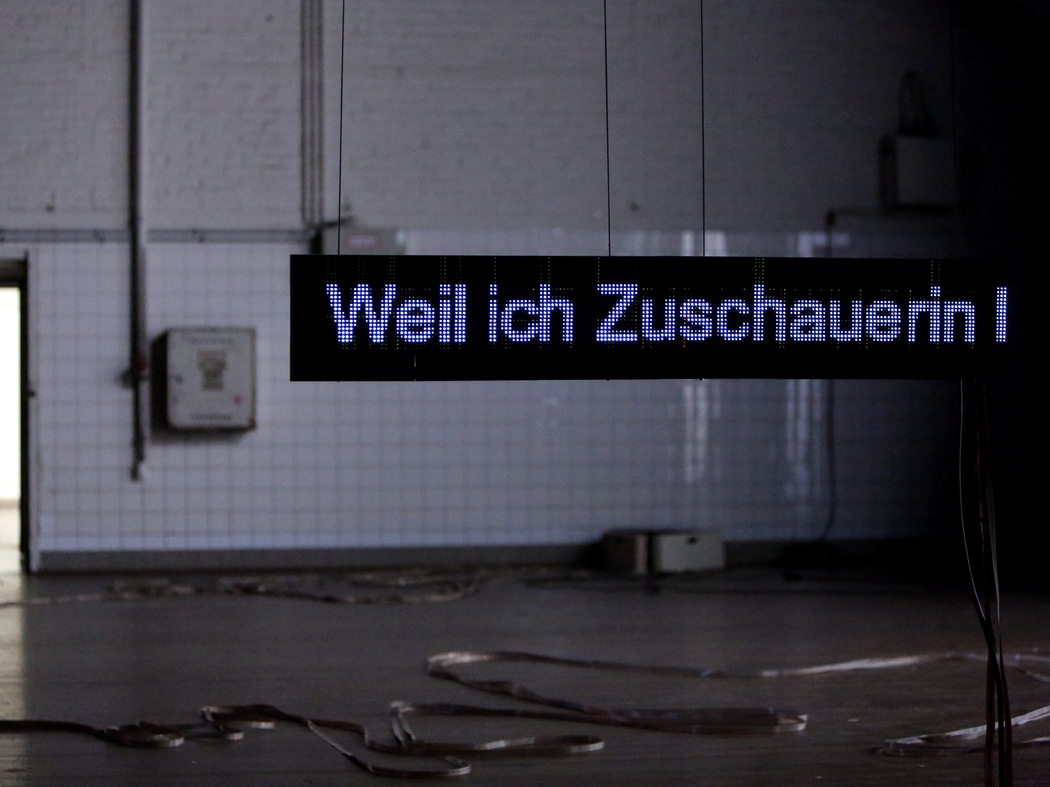 Leer / desear: El triunfo de la libertad