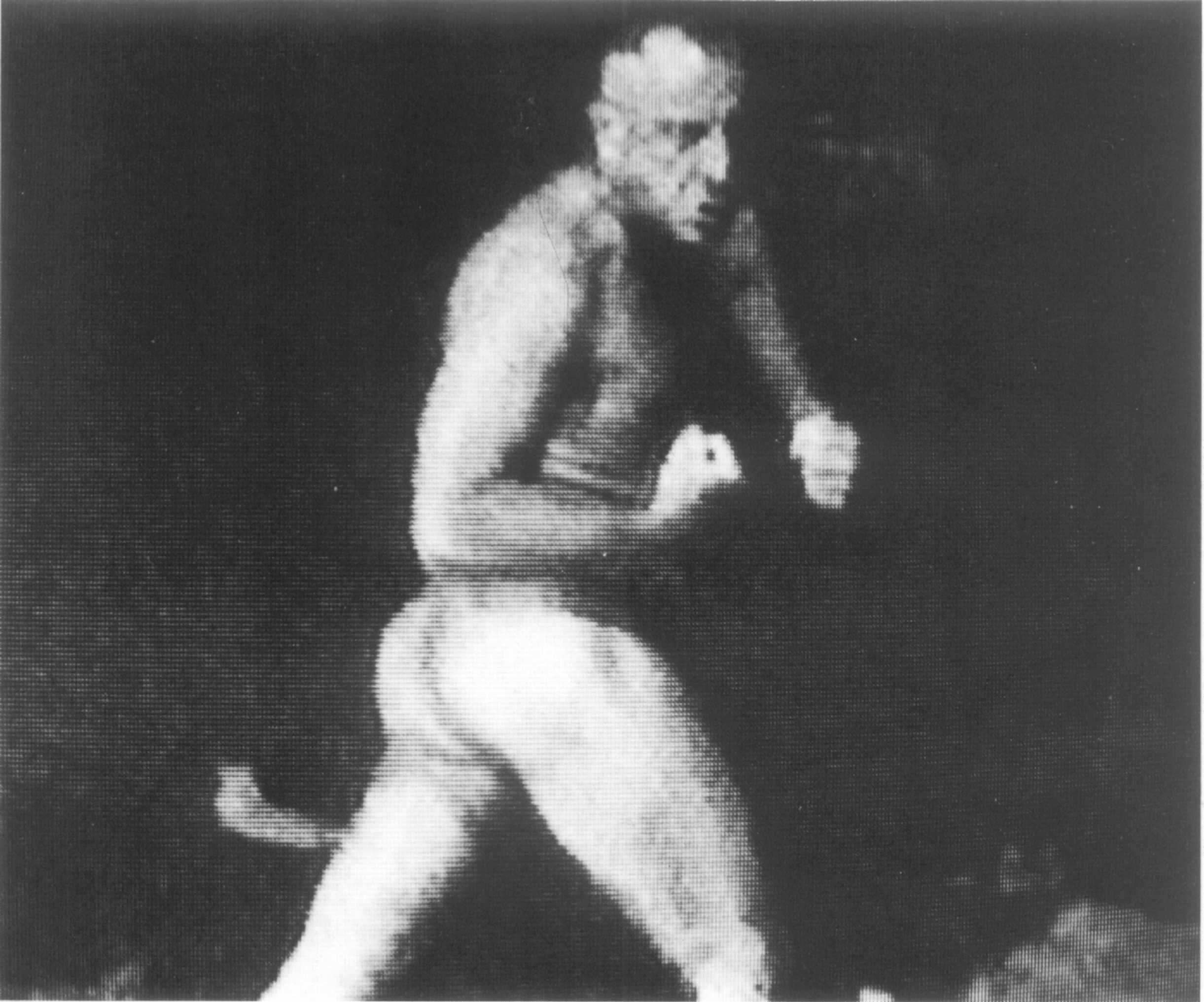 Albert Vidal: del hombre urbano al cuerpo telúrico