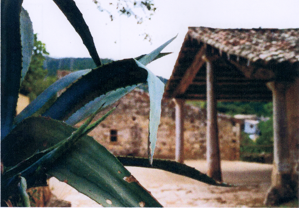 L’animal a l’esquena