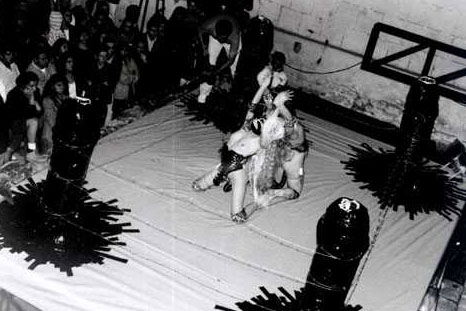 Exhivilización o Las perras en celo-Nichos púbicos