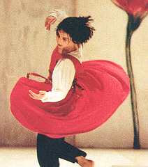 Angels Margarit: geografías y jardines