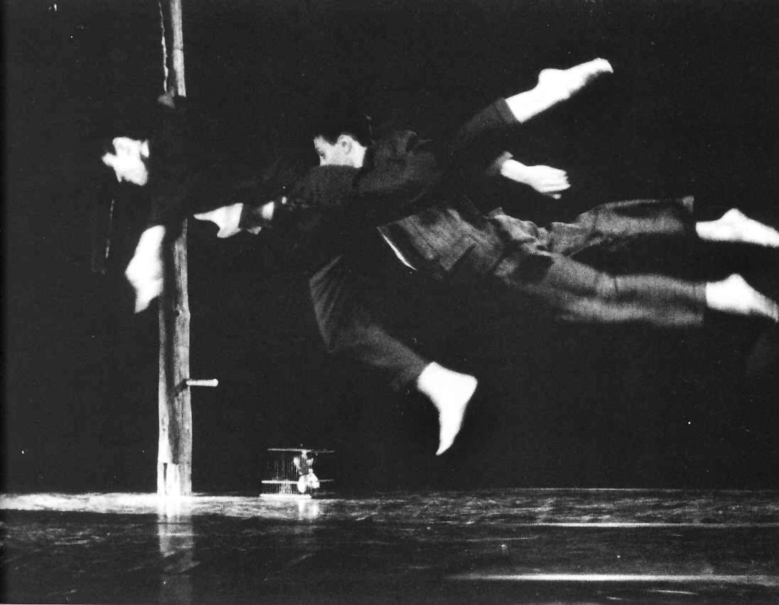 Mal Pelo. De fábulas y pájaros