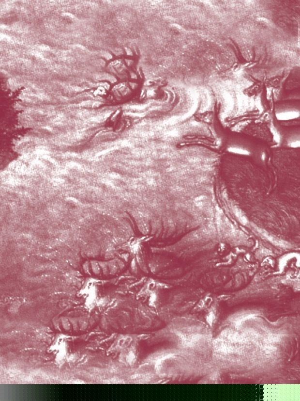 Ojos de ciervo rumano