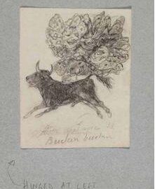 Volando a ras de suelo