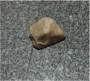 La Pieza Coreográfica Hacia, de Paloma Bianchi