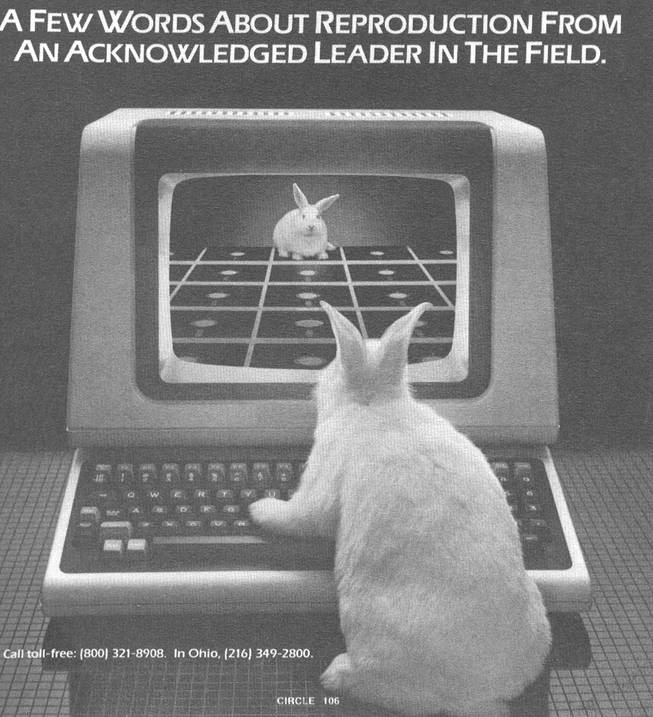 La horma del zapato: La(s) platea(s)