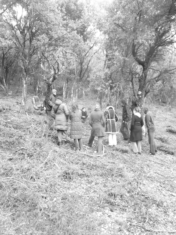 Autonomía y complejidad. Seminario 4