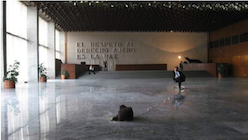 Teatralidades expandidas