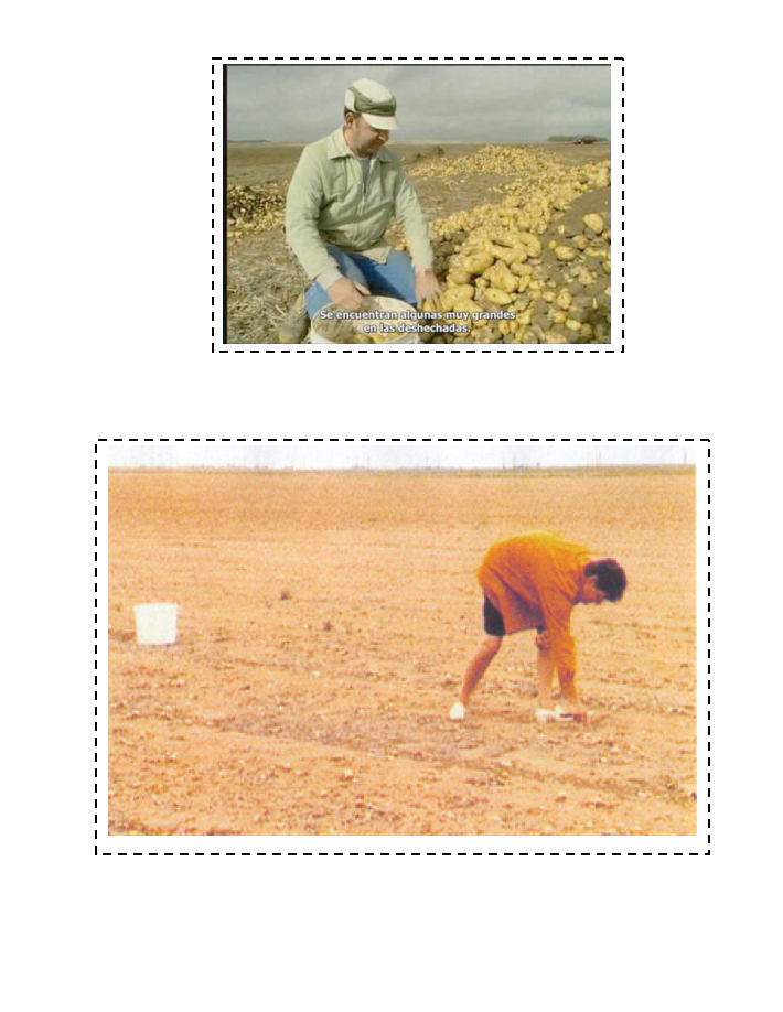 El hombre que pasea y recoge lo que encuentra