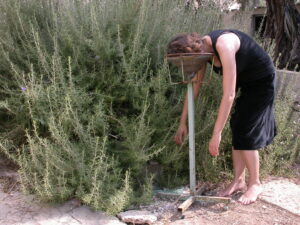 Palestina, tierra, exilio y creación