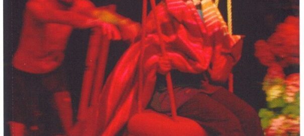 Perro muerto en tintorería. Los fuertes