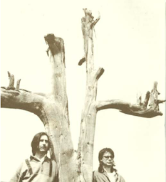 Vuelos concéntricos