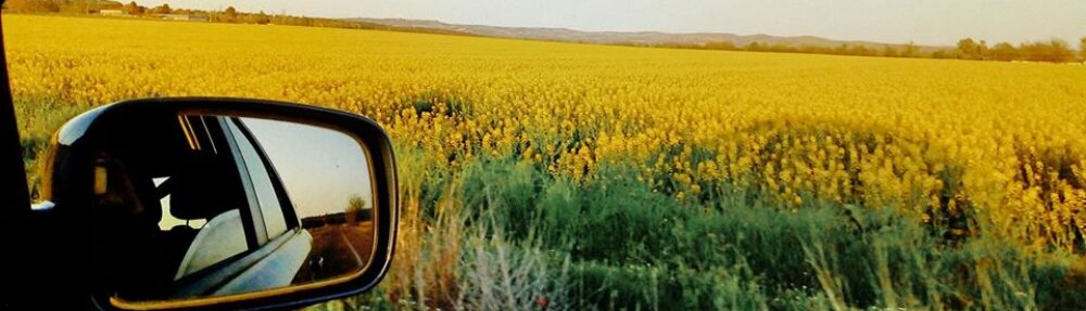 Sitio Personal de Natalia María Simón Medina