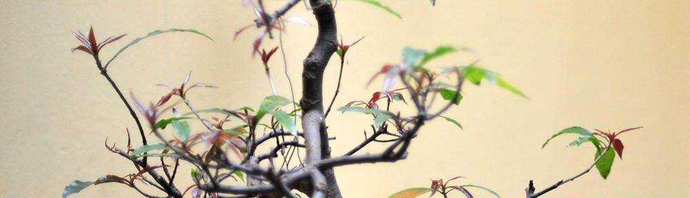 UCLM: Víctor Manuel López Jaquero